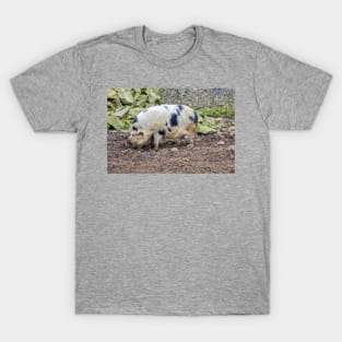 This little piggy T-Shirt